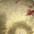 Used Meinl Dragon Profile 16" Thin Crash Cymbal 40051-S000111505 View 3