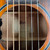 Used Cort Core-OC ABW OPLB Acoustic Guitar - Sunburst - Gig Bag Included 40112-S000173351 View 3