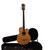 Used Ibanez AFB-10-LG-14-03 WHSC Bass Guitar Natural 4-String 40009-S000298438 View 1