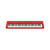 New Casio CT-S1 Casiotone 61-Key Portable Keyboard 40112-CT-S1RD View 1