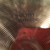 Used Sabian 14IN B8 PRO HH BOTTOM Cymbal 14" 40009-S000299479 View 4