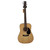 Used Recording King RD-06 Laminate Top Acoustic Guitar Wood 40009-S000299752 View 1
