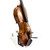 Used R Paesold P-V160-3 Violin 1/2 Size 41119-S000033133 View 5