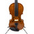 Used R Paesold P-V160-3 Violin 1/2 Size 41119-S000033133 View 4