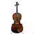 Used A. SCHROETTER AS-VO60-4/4 Violin No Bow 41119-S000033512 View 2
