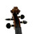 Used A. SCHROETTER AS-VO60-4/4 Violin No Bow 41119-S000033512 View 3