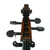 Used Palatino VC-450 Cello 4/4 Size 40009-S000301401 View 8