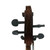 Used Palatino VC-450 Cello 4/4 Size 40009-S000301401 View 12