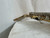 Used Selmer AS400 STUDENT ALTO SAX Alto Saxophone 40012-S000295558 View 16