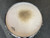 Used Slingerland 18X16 CHROME OVER WOOD Vintage Floor Tom Other 18" 40111-S000183464 View 2