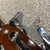 Used 1969-70  GIBSON EB-3L Bass Guitar 41106-S000089205 View 24