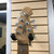 Used Sterling by Ernie Ball JP150FM Double Cut Electric Guitar Cherry Sunburst 6-String 41125-S000037905 View 3