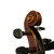 Used Scherl & Roth MODEL 41 Viola 14" 40009-S000250156 View 5