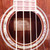 Used Ibanez EWB20WNENTL201 Acoustic Bass 40042-S000251430 View 6