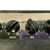 Used Ampeg REVERB ROCKET Vintage Tube Guitar Combo 40009-S000302041 View 11