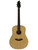 Used Breedlove Passport D200SMP Acoustic Guitar 41115-S000110036 View 2