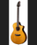New BREEDLOVE PERFORMER PRO CONCERT AGED TONER CE EUROPEAN-AFRICAN MAHOGANY 41107-PFCN18CEEUAM View 1