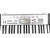Used Casio LK-165 LIGHT-UP KEYBOARD W/AC 61-Key Keyboard 61-Key 41124-S000201195 View 2