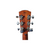Used Alvarez MG66CE Acoustic Guitar Wood 40083-S000150342 View 7