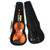 Scherl & Roth HERMANN BEYER MODEL E201E2 Violin 1/2 Size View 2
