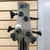 Used Ibanez SR800 Vintage P Type Bass Guitar Silver/Gray 4-String 41125-S000038259 View 11