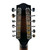 Used Gold Tone F-12 12 String Mando Guitar 41119-S000034254 View 9