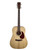 Used Cort Earth 60 OP Acoustic Guitar 41115-S000110697 View 2