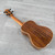 Used Oscar Schmidt OU5K Concert Ukulele 40112-S000176318 View 8