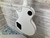 Used Epiphone LES PAUL JERRY CANTRELL PROPHECY LE LP Type Electric Guitar White 6-String 41112-S000095915 View 13