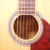 Used Spectrum Acoustic Guitar 40042-S000253831 View 6