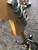 Used Fender 2011 AMERICAN STANDARD STRATOCASTER S Type Electric Guitar Black 6-String 41123-S000109776 View 4