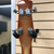Used Danelectro LONGHORN BASS MADE IN KOREA Bass Guitar Yellow 4-String 41125-S000038432 View 9
