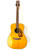 Used Blueridge BR-163 Solid Top Acoustic Guitar Wood 41124-S000201912 View 1
