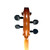 Used Knilling Bucharest P152F Cello 4/4 Size 41119-S000034586 View 9