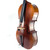 Used Knilling Bucharest P152F Cello 4/4 Size 41119-S000034586 View 6