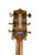 Used Takamine GN51CE-BSB A/E 41115-S000111202 View 5