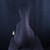 Used Samick MF-2 MANDOLIN Mandolin 40123-S000127937 View 12
