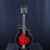 Used Samick MF-2 MANDOLIN Mandolin 40123-S000127937 View 2