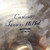 Used Zildjian 14 K CUSTOM SESSION HI HATS Hi Hat Cymbals 14" 40123-S000128084 View 8