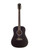 Used Washburn DFED DEEP FOREST ACOUSTIC 41115-S000111352 View 2
