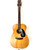 Used Sigma GCS-6 MIJ --BELLY Vintage Laminate Top Acoustic Guitar Wood 41124-S000202359 View 1