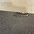 Used CRATE FLEX412B 4 x 12 Guitar Speaker Cabinet 41106-S000091596 View 7