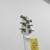 Used Ibanez SZ320 Electric Guitar White 40042-S000255104 View 8