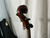 Used Johannes Kohr K40CA 4/4 W/BAG Cello 4/4 Size 40012-S000299968 View 14