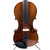 Used Yamaha YVN003 4/4 Violin 41119-S000034797 View 2
