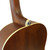 Used Ibanez PNB14E-CPN Solid Top Acoustic Guitar Wood 40009-S000304271 View 9