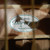 Used SAGA DURANGOO DREAD Vintage Laminate Top Acoustic Guitar Wood 40105-S000075799 View 4