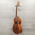 Used Ibanez PNB14E-OPN Acoustic Bass Guitar Wood 40015-S000325874 View 5