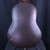 Used Ovation 1617 LEGEND 70S-80S Vintage Laminate Top Acoustic Guitar Tobacco Sunburst 40123-S000128974 View 8