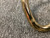 Used Bach 42 STRADIVARIUS Trigger Trombone 40111-S000186229 View 24